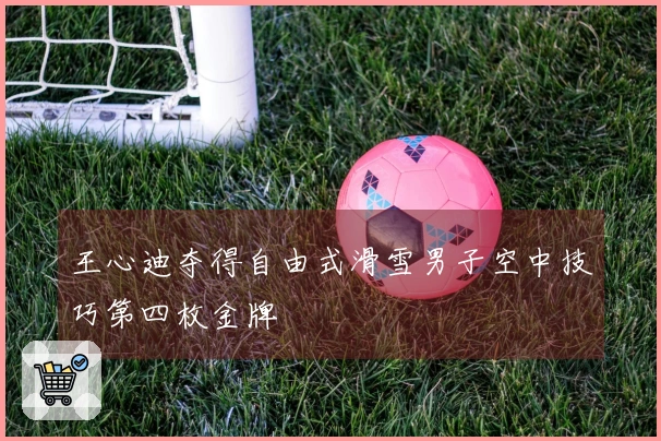 王心迪夺得自由式滑雪男子空中技巧第四枚金牌
